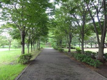関公園 