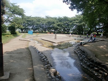 伊佐沼公園