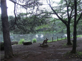 智光山公園　北東部ひょうたん池周辺