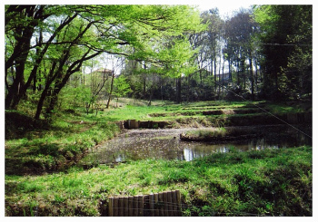 さいたま市大和田緑地公園特別緑地保全地区
