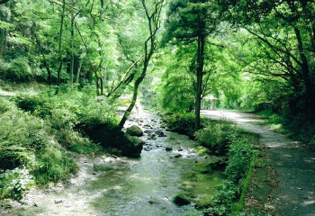 日本水の森「風の遊歩道」