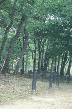 江川公園