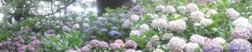 5月