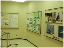 展示