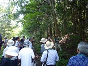 山逢の里