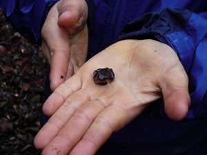 活動の様子