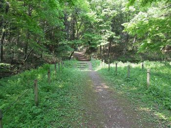 上山口堀口天満天神社周辺緑地