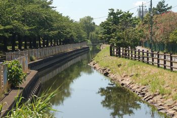 八条親水公園