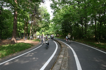 国営武蔵丘陵森林公園