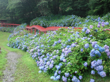 横瀬町農村公園