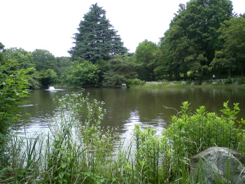 所沢航空記念公園