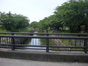 八条用水路沿い桜並木