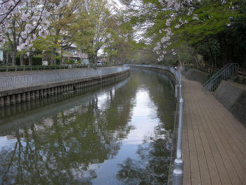 垳川親水通り