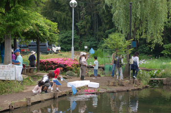 鳩ヶ谷市湧水公園および法性寺林