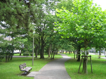 みさと団地内遊歩道