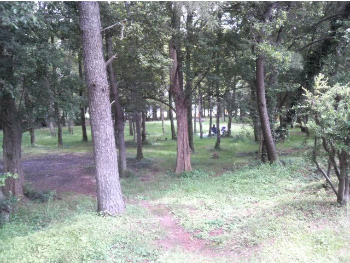 秋ヶ瀬公園