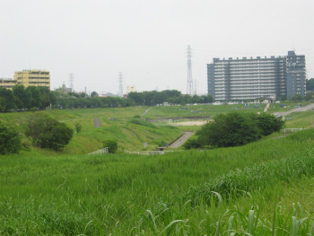 上谷沼調整池の北西端部