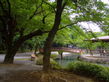 若泉公園(子育て公園)