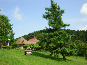 埼玉県県民の森