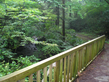 大谷木川起点付近の遊歩道