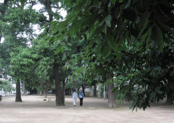 上福岡中央公園