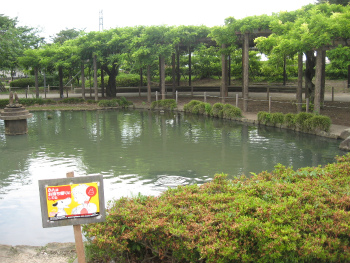 大天白公園