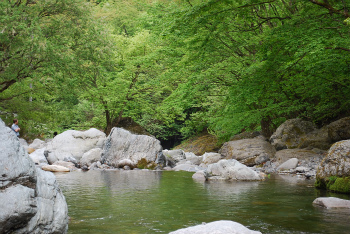 入川渓谷