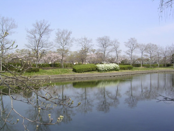 しらこばと水上公園 