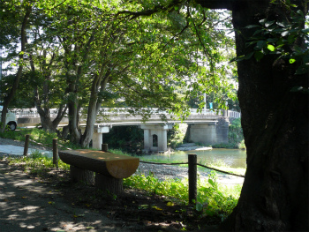 槻川（日の出橋付近）