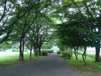 ぐるる宮代（総合運動公園）