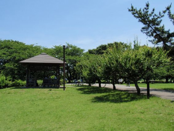 さきたま古墳公園