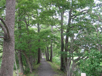 浮野の里