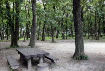 三芳町緑地公園