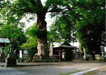 廣瀬神社境内