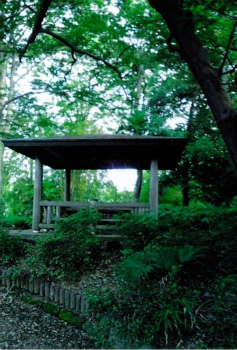 蓮田市図書館と堂山公園