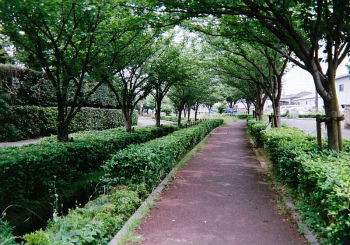 二郷半用水遊歩道